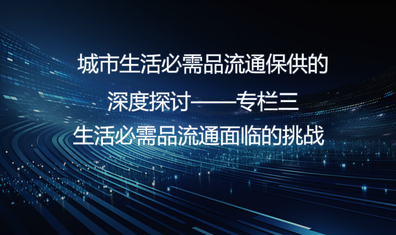 城市生活必需品流通保供的深度探讨—专栏三